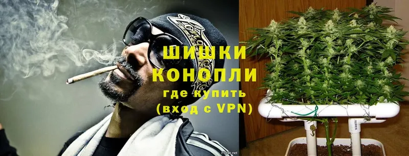 Конопля план  Буинск 